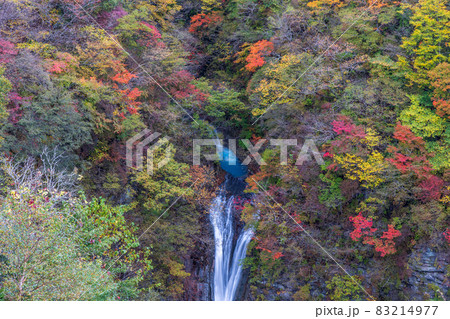駒止の滝 駒止の滝 83214977