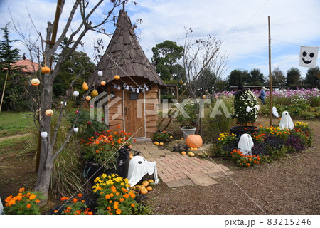 ハロウィーンの飾りつけ ハロウィーンの飾りつけ 83215246