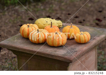 ハロウィーンの飾りつけ ハロウィーンの飾りつけ 83215248