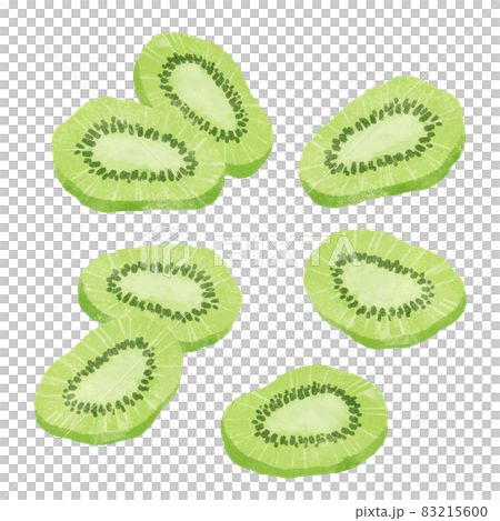 ドライフルーツ（キウイフルーツ）の手描きイラスト 83215600