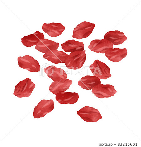 ドライフルーツ（クランベリー）の手描きイラスト 83215601