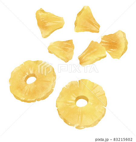ドライフルーツ（パイナップル）の手描きイラスト 83215602