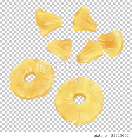 乾果（菠蘿）手繪插畫 83215602