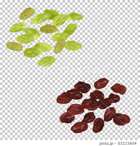 ドライフルーツ（レーズン）の手描きイラスト 83215604