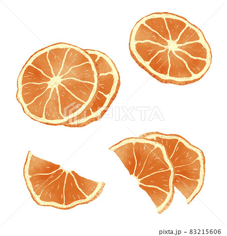 ドライフルーツ オレンジ の手描きイラストのイラスト素材