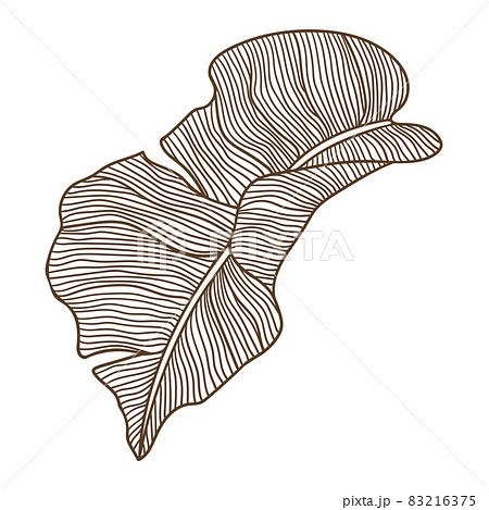 Illustration of stylized palm leaf. Decorative image of tropical foliage and plant. 83216375