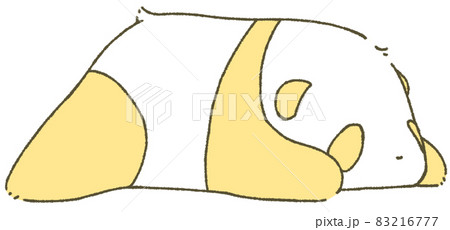 ねころぶ赤ちゃんパンダ(橙色) ねころぶ赤ちゃんパンダ(橙色) 83216777