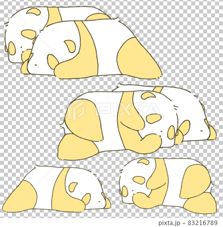 Two baby pandas (orange) Two baby pandas (orange) 83216789