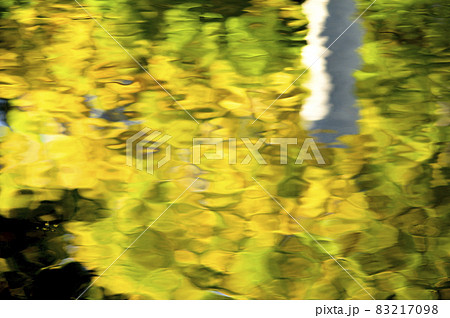 水面に映る鮮やかな紅葉 水面に映る鮮やかな紅葉 83217098