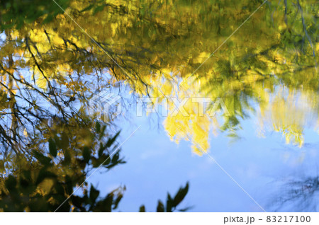 水面に映る鮮やかな紅葉 83217100