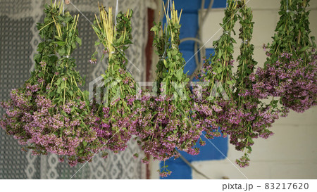 Bunches of oregano herbs. A healing plant with purple flowers. Bunches of oregano herbs. A healing plant with purple flowers. 83217620