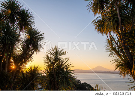江の島から見る富士山夕景 江の島から見る富士山夕景 83218713
