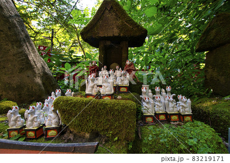 【鎌倉市】佐助稲荷神社 【鎌倉市】佐助稲荷神社 83219171