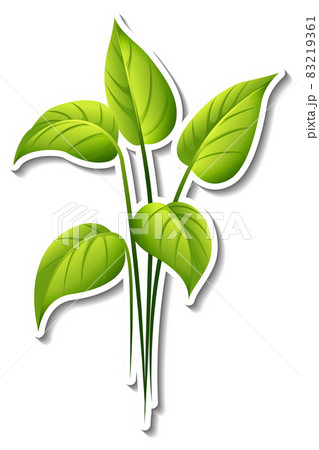 Tree sticker on white background Tree sticker on white background 83219361