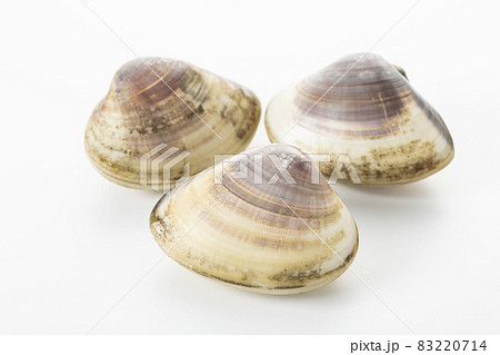 はまぐり はまぐり 83220714