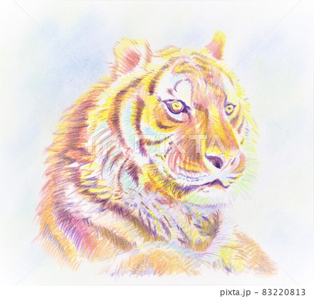 虎のイラスト 83220813