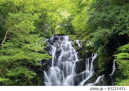 糸島の人気スポット　美しい白糸の滝　（福岡県糸島市） 83221421
