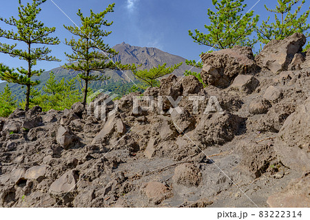 有村溶岩展望所から見た桜島 83222314