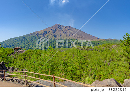 有村溶岩展望所から見た桜島 83222315