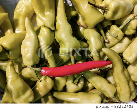 One red ripe chili among plenty of green bell pepper chilies. One red ripe chili among plenty of green bell pepper chilies. 83222402