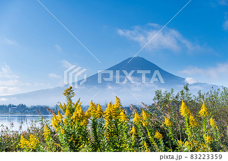 「山梨県」大石公園から望む富士山 「山梨県」大石公園から望む富士山 83223359