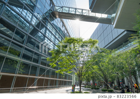 東京国際フォーラム前広場 83223566
