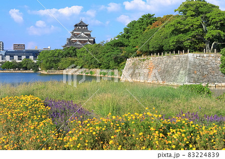 【広島県】晴天下の広島城天守閣と花畑 83224839