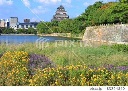 【広島県】晴天下の広島城天守閣と花畑 83224840