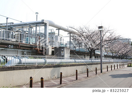 桜が咲く春の今福下水処理場 83225027