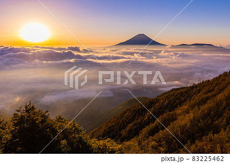 (山梨県)櫛形山から望む、甲府盆地の雲海と富士山 日の出 (山梨県)櫛形山から望む、甲府盆地の雲海と富士山 日の出 83225462