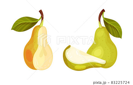 Fresh ripe pear set. Whole and cut in half...のイラスト素材 [83225724] - PIXTA