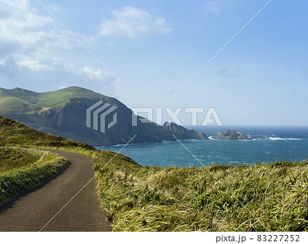 北海道 礼文島 ゴロタ岬 / Rebun Island, Hokkaido, Japan 83227252