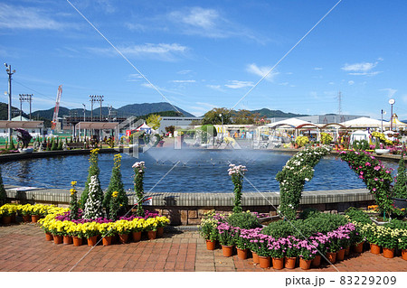 2021たけふ菊人形 福井県越前市 2021たけふ菊人形 福井県越前市 83229209