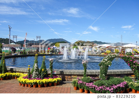 2021たけふ菊人形 福井県越前市 2021たけふ菊人形 福井県越前市 83229210