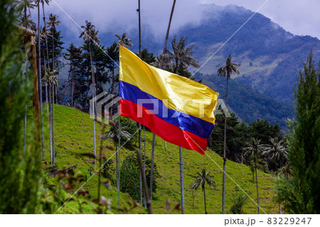 Colombian flag and the Colombian National tree, the Quindio Wax Palm at the mountains of the Cocora Valley 83229247