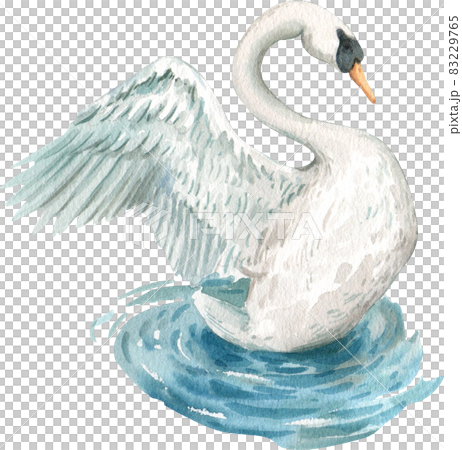 Duck and swan animal watercolor 83229765