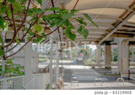 東芝浦橋／東京都 83229908