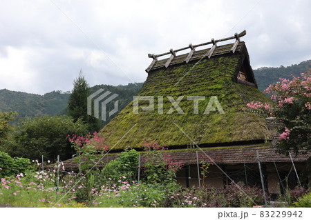色々な花や草や木々に囲まれた茅葺屋根の家と山と曇り空の風景 83229942