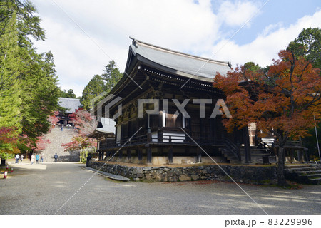 神護寺　紅葉の境内　京都市右京区高雄 83229996