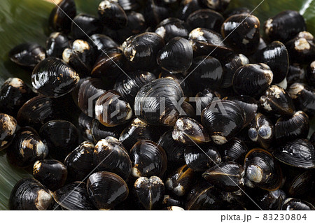 しじみ しじみ 83230804