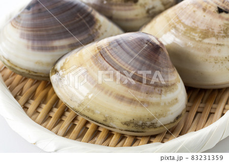 はまぐり 83231359