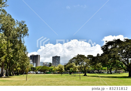 ハワイの休日 ハワイの休日 83231812