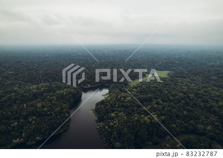 Amazon jungle. Amazon jungle. 83232787
