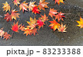 水溜りに浸かったもみじの写真 83233388