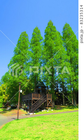 久喜菖蒲公園の風景 83235314
