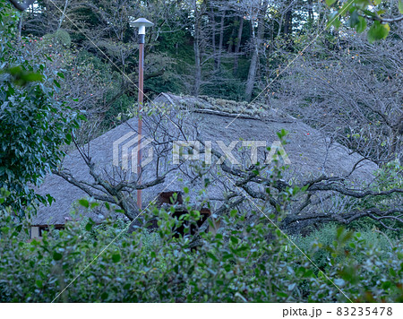 薬師池公園 旧永井家住宅 薬師池公園 旧永井家住宅 83235478