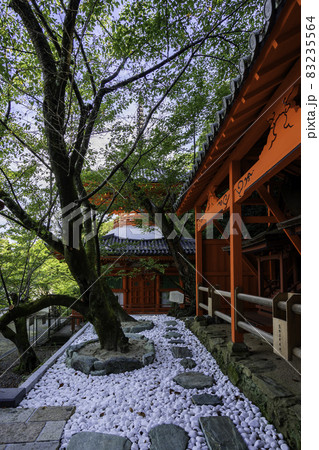 和歌山 紀三井寺 三社権現と多宝塔 和歌山県和歌山市 和歌山 紀三井寺 三社権現と多宝塔 和歌山県和歌山市 83235564