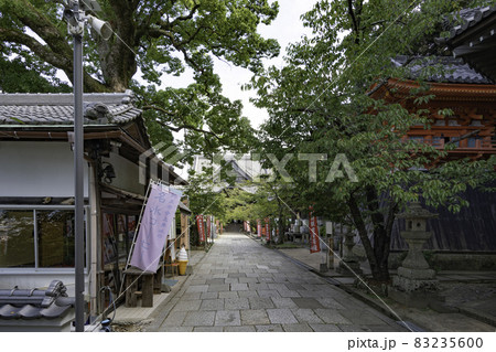 和歌山　紀三井寺　境内　和歌山県和歌山市 83235600
