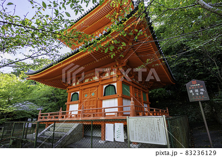 和歌山 紀三井寺 多宝塔 和歌山県和歌山市 和歌山 紀三井寺 多宝塔 和歌山県和歌山市 83236129