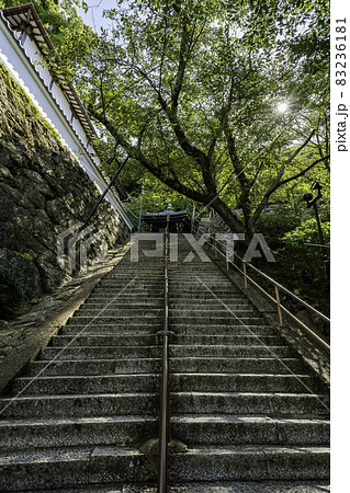 和歌山 紀三井寺 結縁坂 和歌山県和歌山市 和歌山 紀三井寺 結縁坂 和歌山県和歌山市 83236181